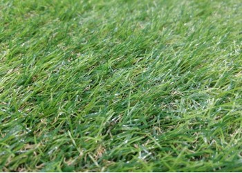 Искусственная трава Premium Soft 20 мм