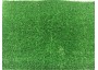 Искусственная трава Беларусь 6 мм 5м Ширина