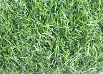 Искусственная трава Optimal Natural 50 мм