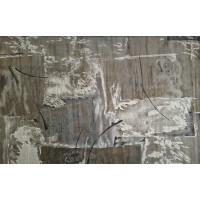 Ragolle Matrix 200x290